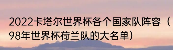 2022卡塔尔世界杯各个国家队阵容（98年世界杯荷兰队的大名单）
