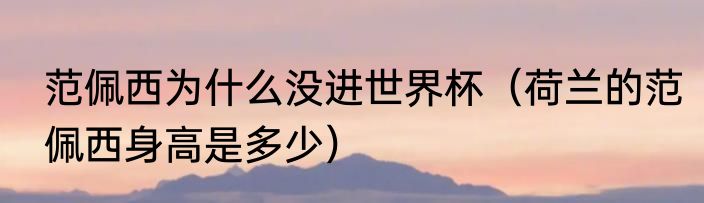 范佩西为什么没进世界杯（荷兰的范佩西身高是多少）