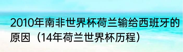 2010年南非世界杯荷兰输给西班牙的原因（14年荷兰世界杯历程）
