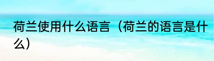 荷兰使用什么语言（荷兰的语言是什么）