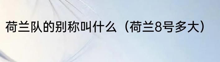 荷兰队的别称叫什么（荷兰8号多大）