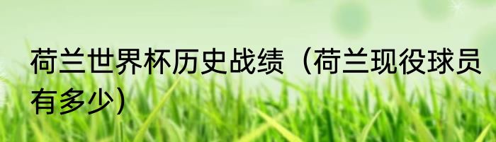 荷兰世界杯历史战绩（荷兰现役球员有多少）