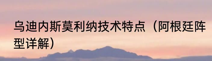 乌迪内斯莫利纳技术特点（阿根廷阵型详解）