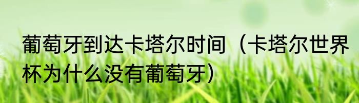 葡萄牙到达卡塔尔时间（卡塔尔世界杯为什么没有葡萄牙）