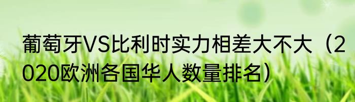 葡萄牙VS比利时实力相差大不大（2020欧洲各国华人数量排名）