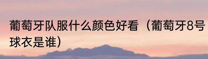 葡萄牙队服什么颜色好看（葡萄牙8号球衣是谁）