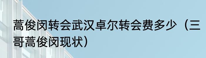 蒿俊闵转会武汉卓尔转会费多少（三哥蒿俊闵现状）