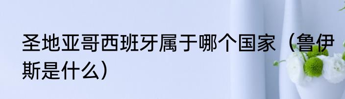 圣地亚哥西班牙属于哪个国家（鲁伊斯是什么）
