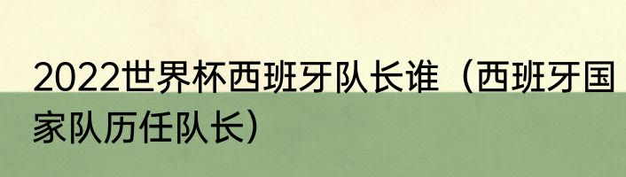 2022世界杯西班牙队长谁（西班牙国家队历任队长）
