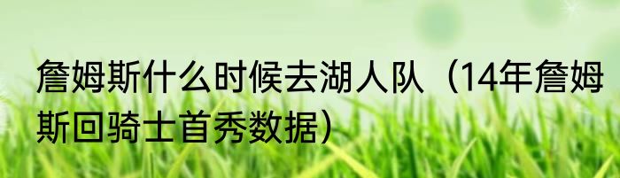詹姆斯什么时候去湖人队（14年詹姆斯回骑士首秀数据）