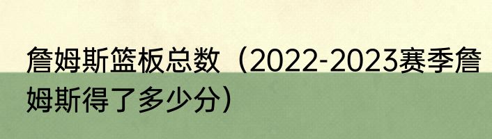 詹姆斯篮板总数（2022-2023赛季詹姆斯得了多少分）