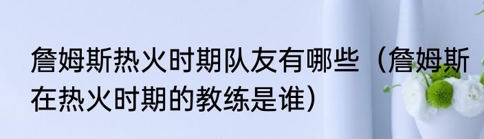 詹姆斯热火时期队友有哪些（詹姆斯在热火时期的教练是谁）