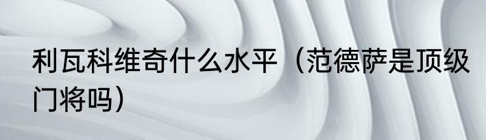 利瓦科维奇什么水平（范德萨是顶级门将吗）
