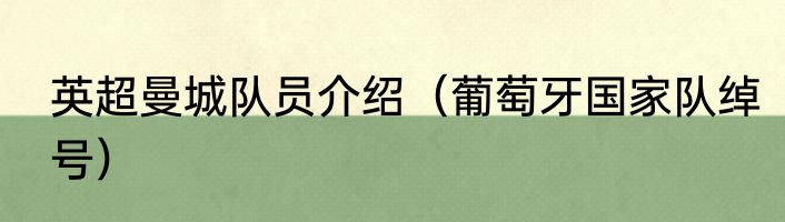 英超曼城队员介绍（葡萄牙国家队绰号）