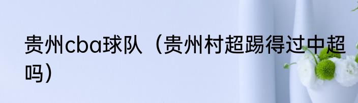 贵州cba球队（贵州村超踢得过中超吗）