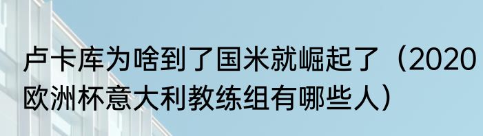 卢卡库为啥到了国米就崛起了（2020欧洲杯意大利教练组有哪些人）