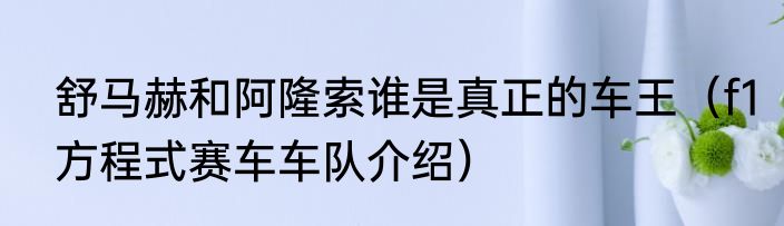 舒马赫和阿隆索谁是真正的车王（f1方程式赛车车队介绍）