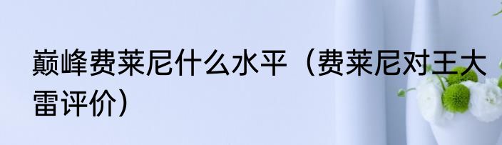 巅峰费莱尼什么水平（费莱尼对王大雷评价）