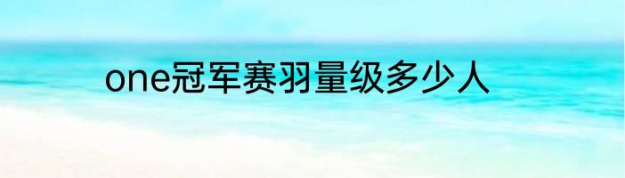 one冠军赛羽量级多少人