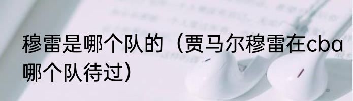 穆雷是哪个队的（贾马尔穆雷在cba哪个队待过）