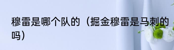 穆雷是哪个队的（掘金穆雷是马刺的吗）