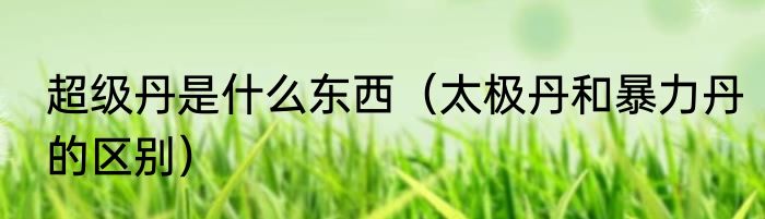 超级丹是什么东西（太极丹和暴力丹的区别）