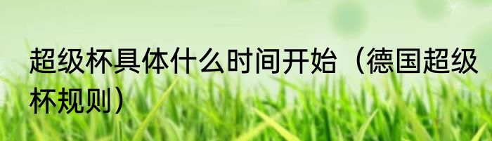 超级杯具体什么时间开始（德国超级杯规则）