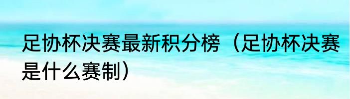 足协杯决赛最新积分榜（足协杯决赛是什么赛制）