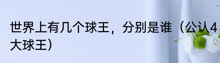世界上有几个球王，分别是谁（公认4大球王）