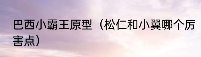 巴西小霸王原型（松仁和小翼哪个厉害点）