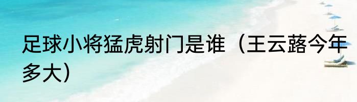 足球小将猛虎射门是谁（王云蕗今年多大）