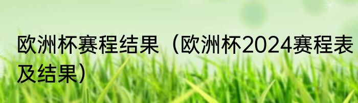 欧洲杯赛程结果（欧洲杯2024赛程表及结果）