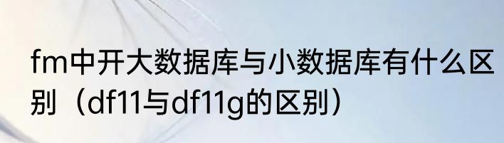 fm中开大数据库与小数据库有什么区别（df11与df11g的区别）
