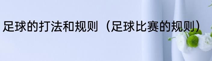 足球的打法和规则（足球比赛的规则）