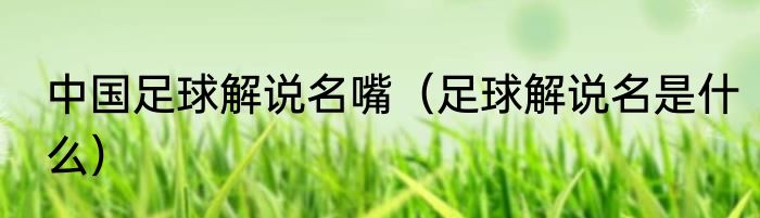 中国足球解说名嘴（足球解说名是什么）