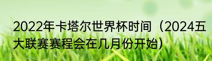 2022年卡塔尔世界杯时间（2024五大联赛赛程会在几月份开始）