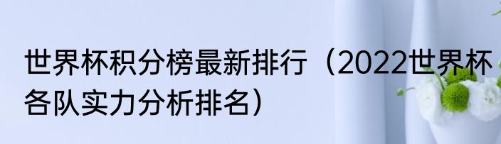 世界杯积分榜最新排行（2022世界杯各队实力分析排名）