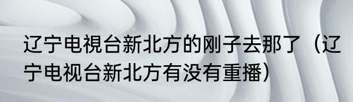 辽宁电視台新北方的刚子去那了（辽宁电视台新北方有没有重播）