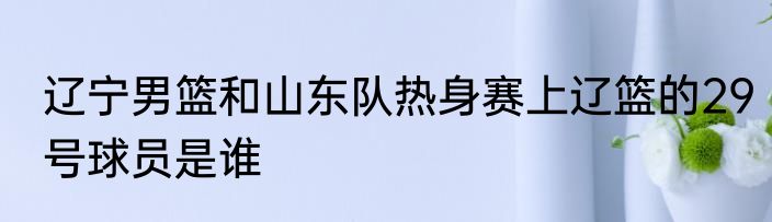 辽宁男篮和山东队热身赛上辽篮的29号球员是谁