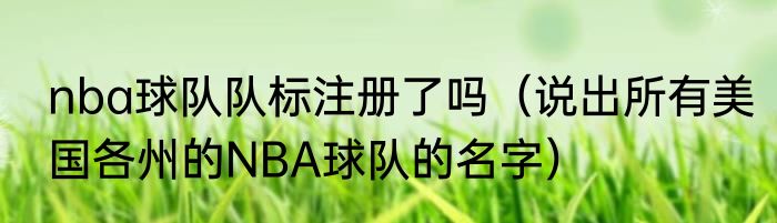 nba球队队标注册了吗（说出所有美国各州的NBA球队的名字）