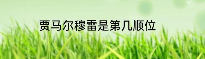 贾马尔穆雷是第几顺位