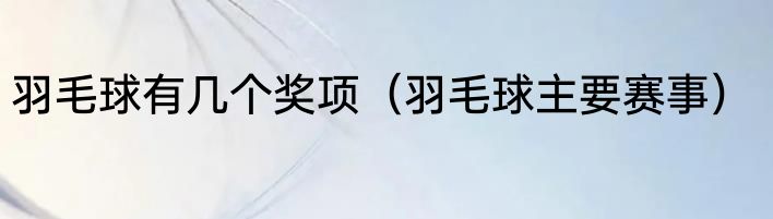 羽毛球有几个奖项（羽毛球主要赛事）