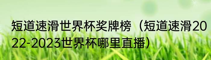 短道速滑世界杯奖牌榜（短道速滑2022-2023世界杯哪里直播）