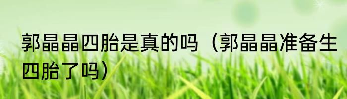 郭晶晶四胎是真的吗（郭晶晶准备生四胎了吗）