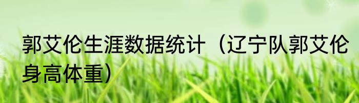 郭艾伦生涯数据统计（辽宁队郭艾伦身高体重）