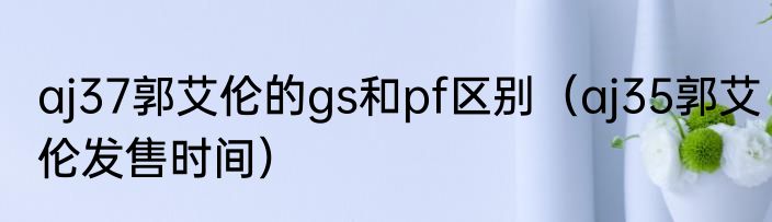 aj37郭艾伦的gs和pf区别（aj35郭艾伦发售时间）