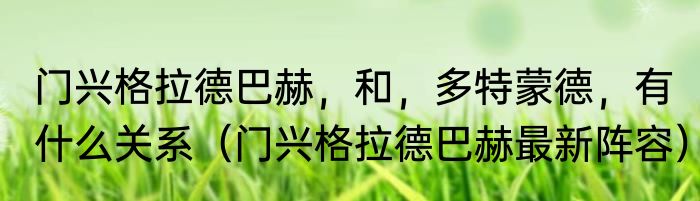 门兴格拉德巴赫，和，多特蒙德，有什么关系（门兴格拉德巴赫最新阵容）