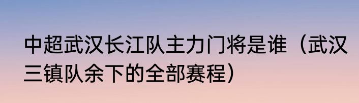 中超武汉长江队主力门将是谁（武汉三镇队余下的全部赛程）