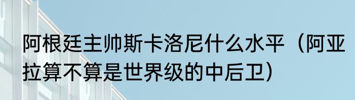 阿根廷主帅斯卡洛尼什么水平（阿亚拉算不算是世界级的中后卫）