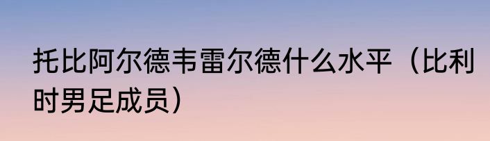 托比阿尔德韦雷尔德什么水平（比利时男足成员）
